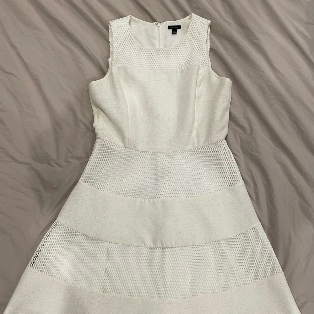 Ann Taylor Fit and Flare Dress